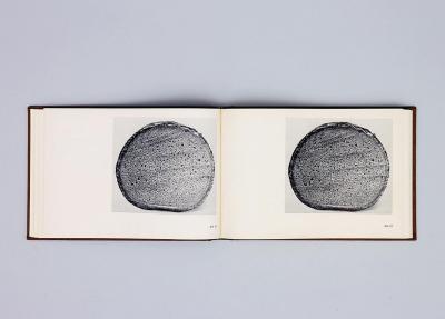 Michalis Pichler, BROTFEHLER (: Book object, 2013).