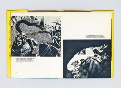 Michalis Pichler, untitled (chamaeleons), collage in book