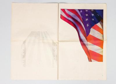 Pichler Michalis, New York Times Flag Profile (New York: self-published, 2003).