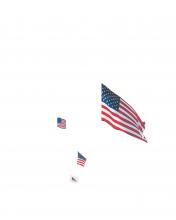 Pichler Michalis, NEW YORK POST flag profile (Berlin: ”greatest hits”, Berlin: COLLAGE, 2017), p. 5.