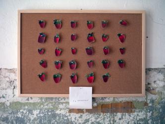 5 Gramm "Erdbeeren", Michalis Pichler, 2012