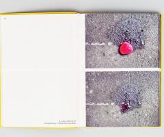 Michalis Pichler, Hearts (Frankfurt: Revolver, Contemporary Art Publishing, Athens: Agra Publishing, 2008).