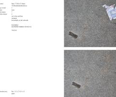 Michalis Pichler, stars & stripes / new york garbage flag profile 2 (Frankfurt: Revolver, Contemporary Art Publishing, 2005).