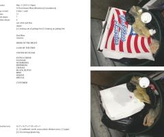 Michalis Pichler, stars & stripes / new york garbage flag profile 2 (Frankfurt: Revolver, Contemporary Art Publishing, 2005).