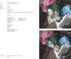 Michalis Pichler, stars & stripes / new york garbage flag profile 2 (Frankfurt: Revolver, Contemporary Art Publishing, 2005).