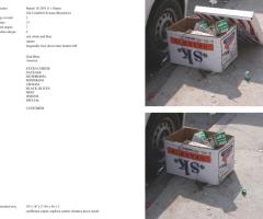 Michalis Pichler, stars & stripes / new york garbage flag profile 2 (Frankfurt: Revolver, Contemporary Art Publishing, 2005).