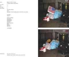 Michalis Pichler, stars & stripes / new york garbage flag profile 2 (Frankfurt: Revolver, Contemporary Art Publishing, 2005).