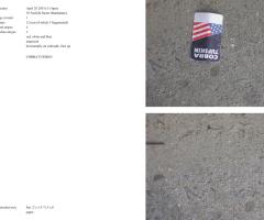 Michalis Pichler, stars & stripes / new york garbage flag profile 2 (Frankfurt: Revolver, Contemporary Art Publishing, 2005).