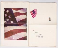 Michalis Pichler, New York Times Flag Profile (New York: self-published, 2003).