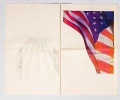 Pichler Michalis, New York Times Flag Profile (New York: self-published, 2003).