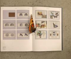Pichler Michalis, special ed (butterfly):  Years: The materialization of ideas from 2002 to 2015 (Hardcover) (New York: Printed Matter, Inc., Leipzig: Spector Books, 2015).